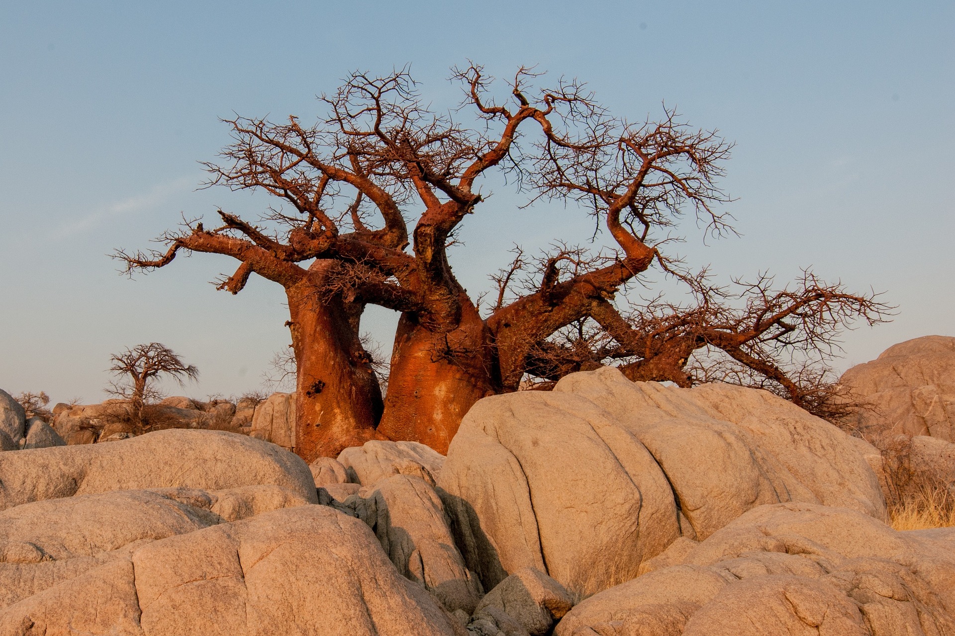 Botswana
