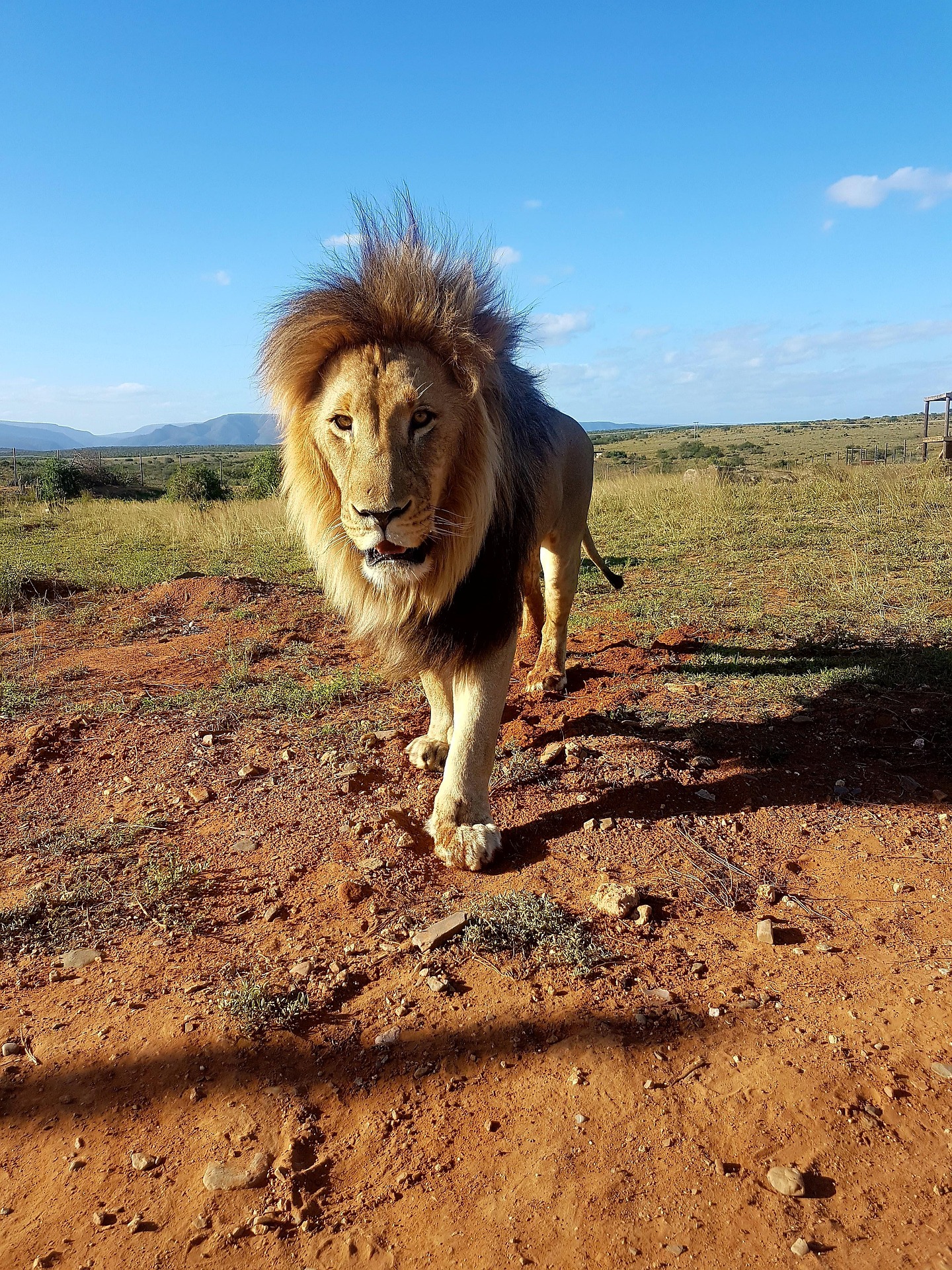 South Africa