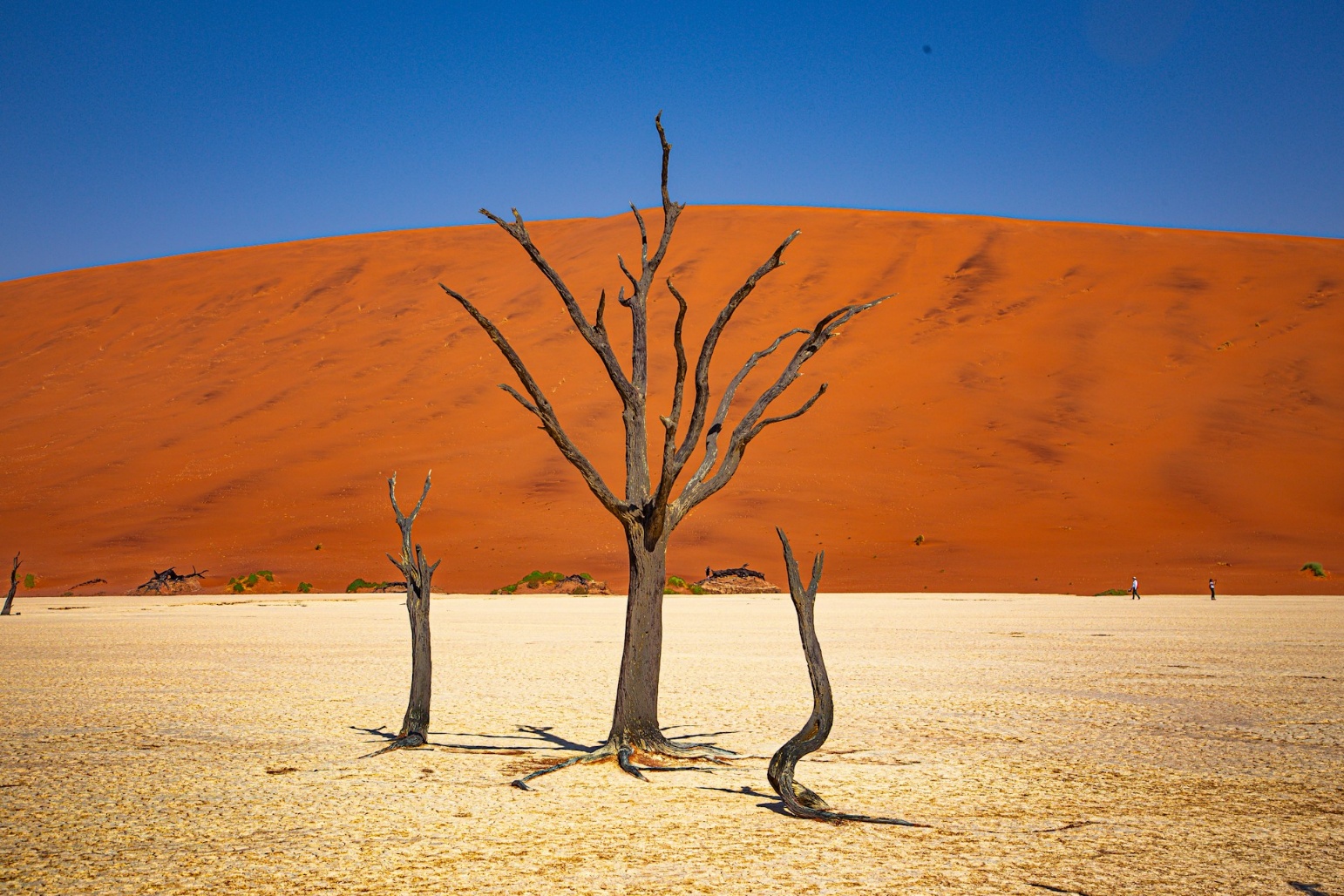 8 Days Namibia Desert Dunes & Atlantic Coast Journey