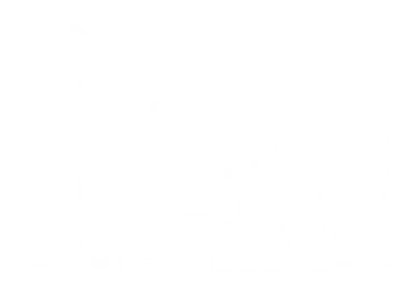 CAE Real Estate Investments Logo