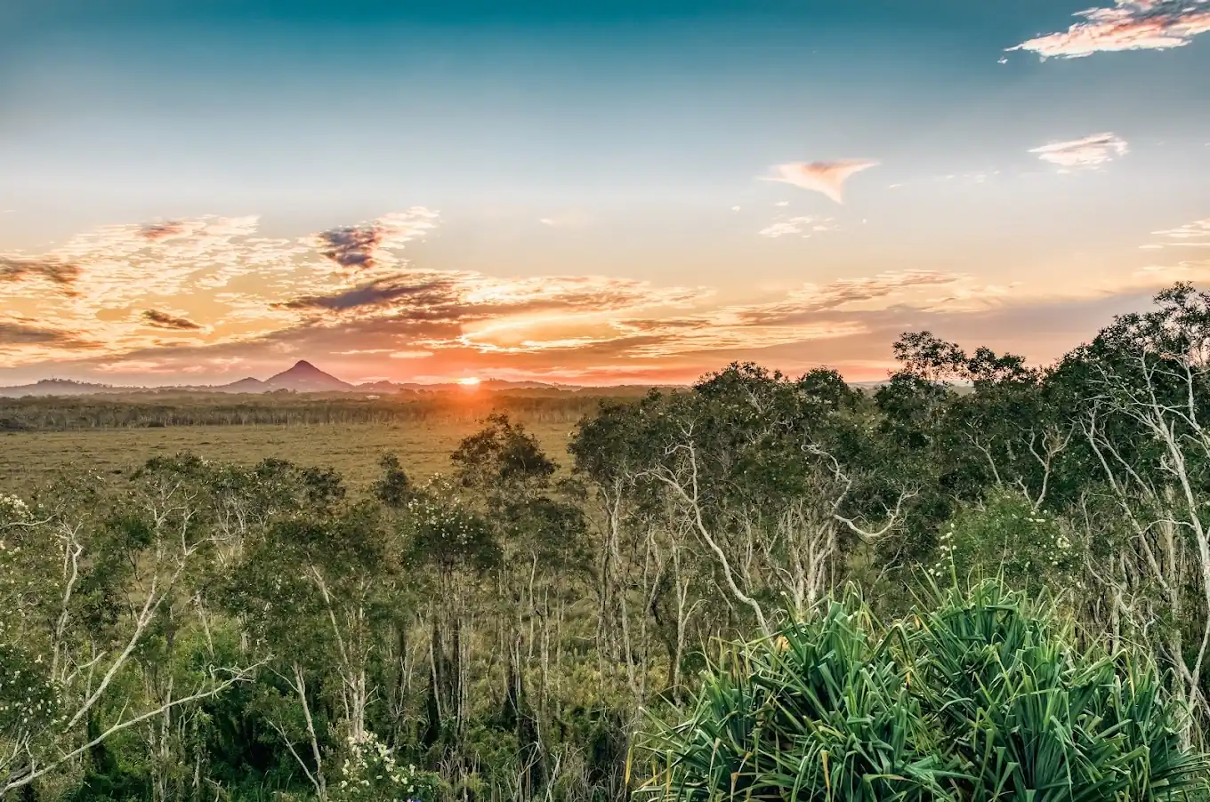 Sunshine Coast Queensland