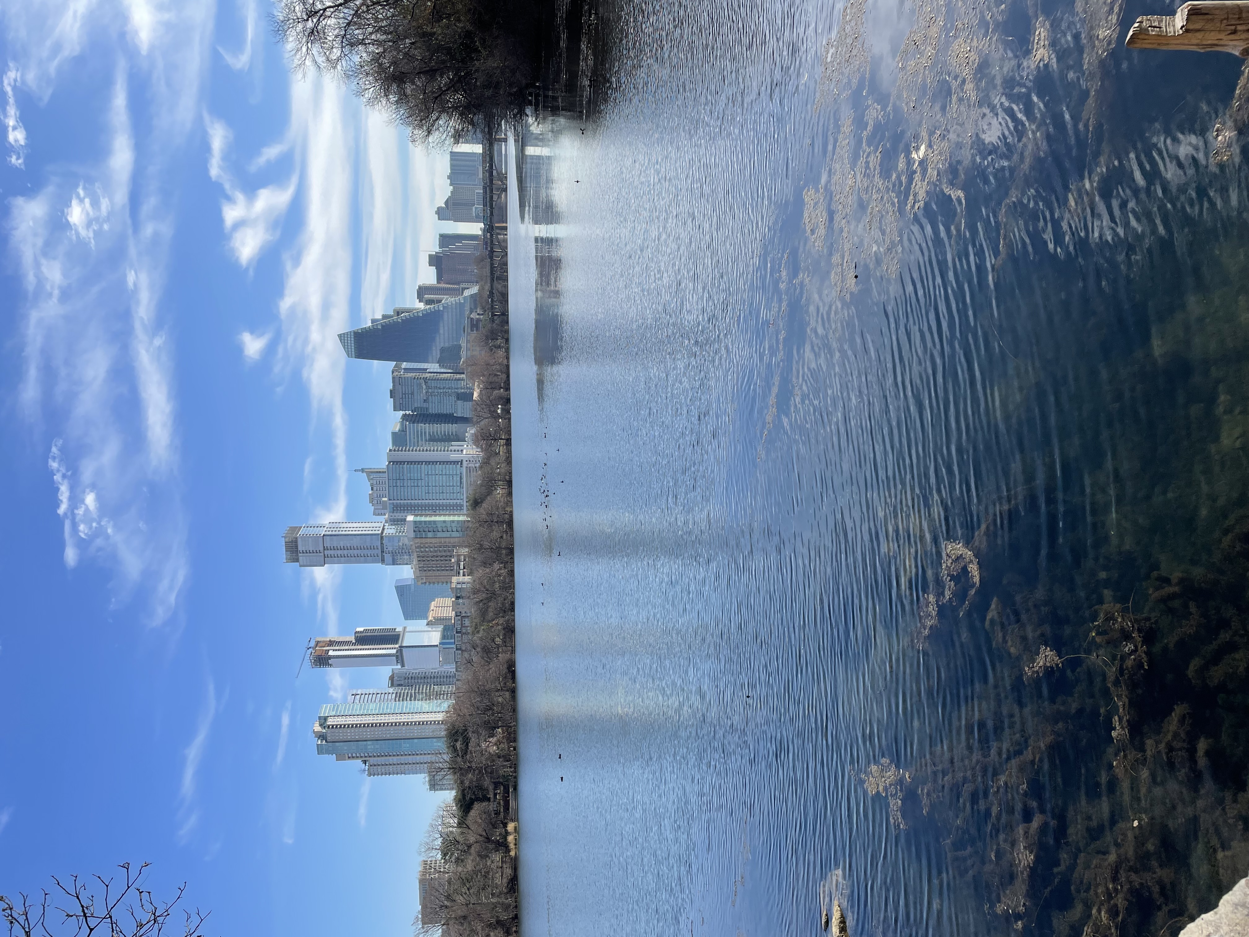 Downtown Austin skyline