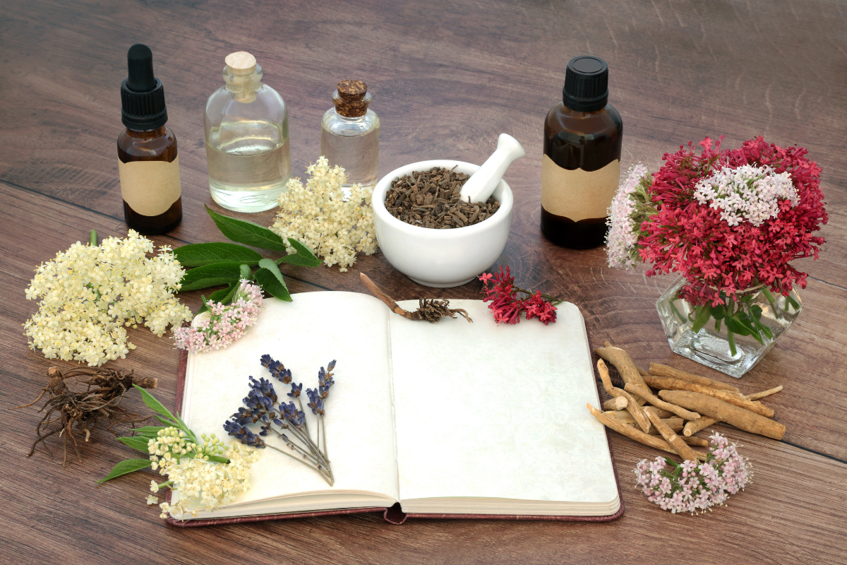 Bilan Naturopathie