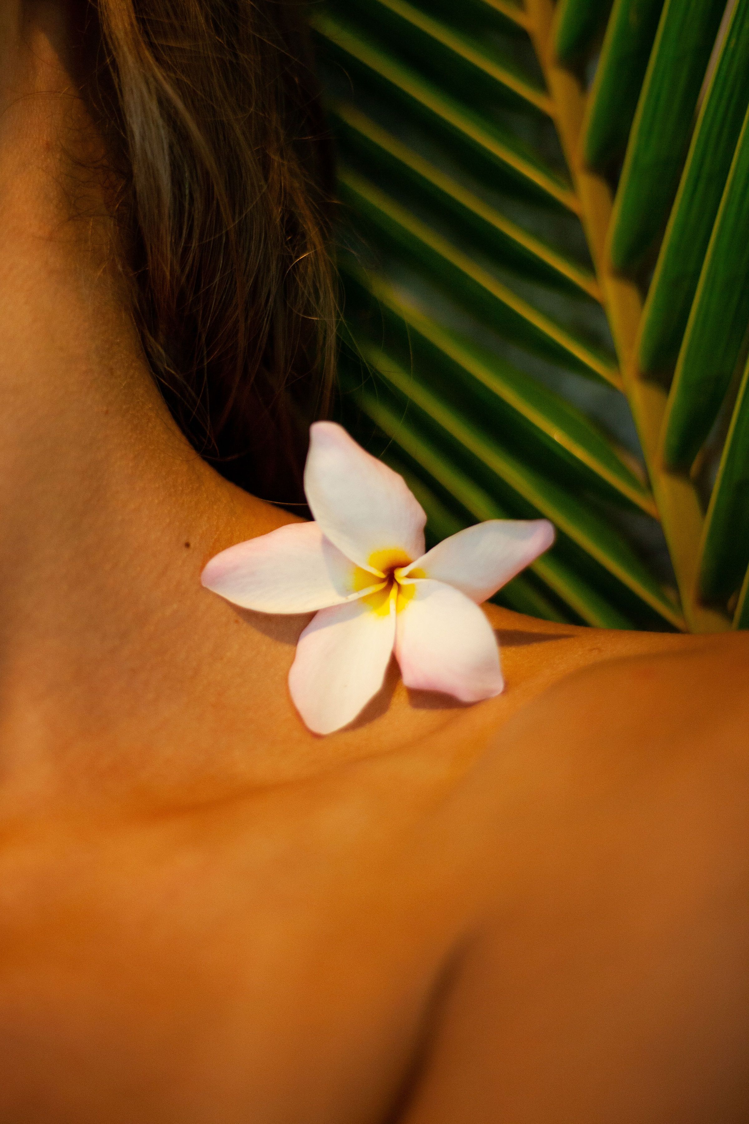 Massage Lomi Lomi