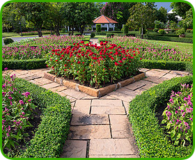 Landscape design