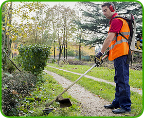Lawn maintenance