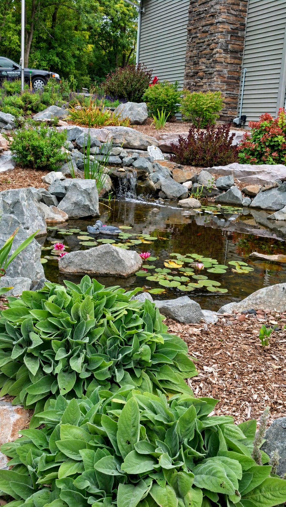 Shoreline landscaping project