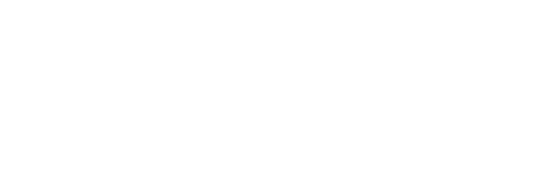 Boris Velikov  business logo
