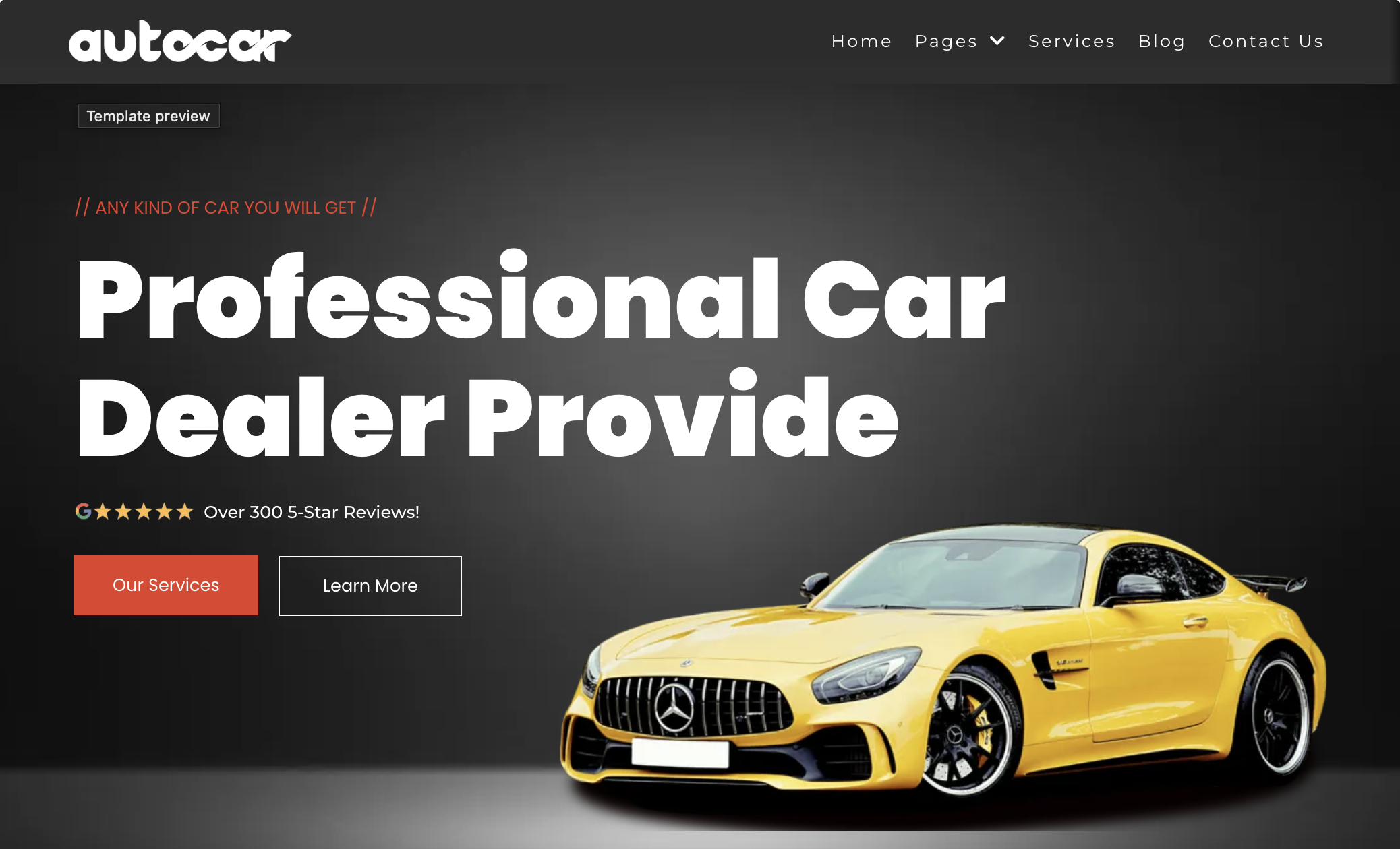 Professional Client Website