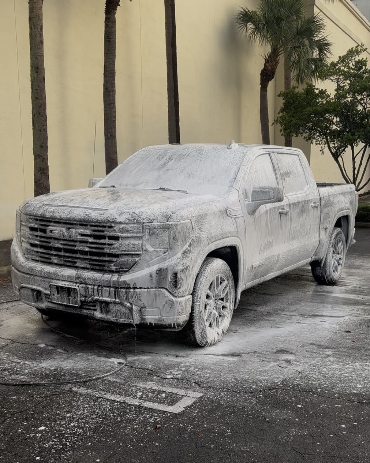 Car detialing in Palm beach Florida