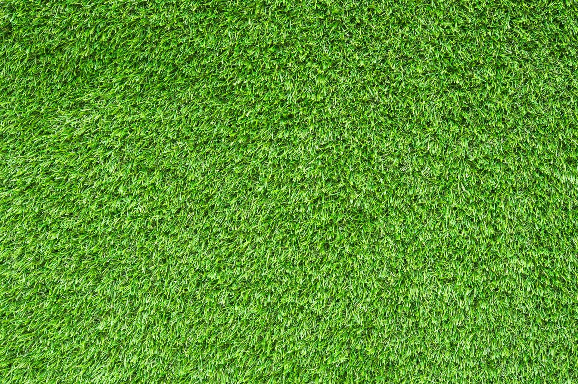 Green Carpet Cleaning in Pekin