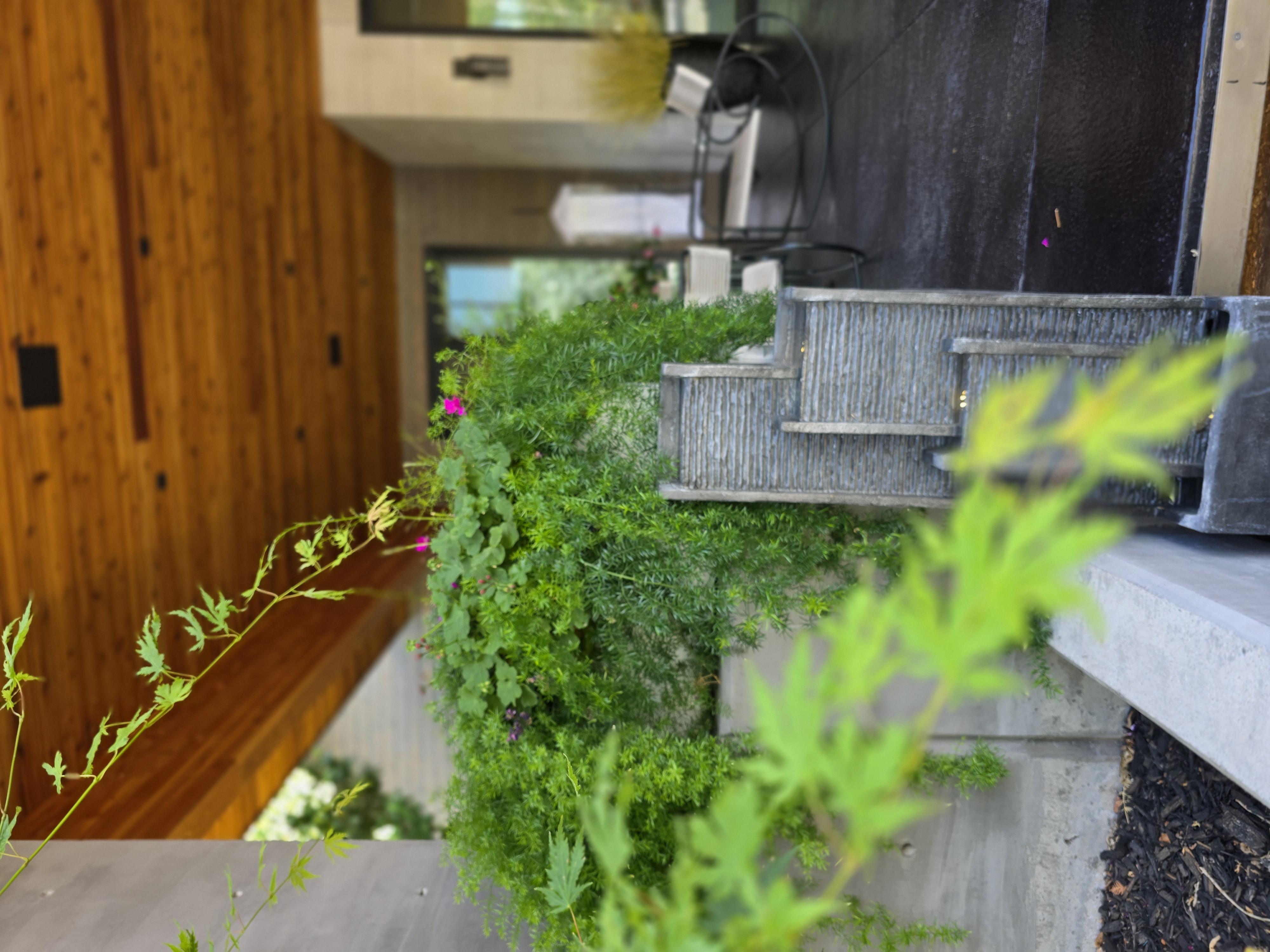 Exterior plantscaping surrounding a covered residential patio.