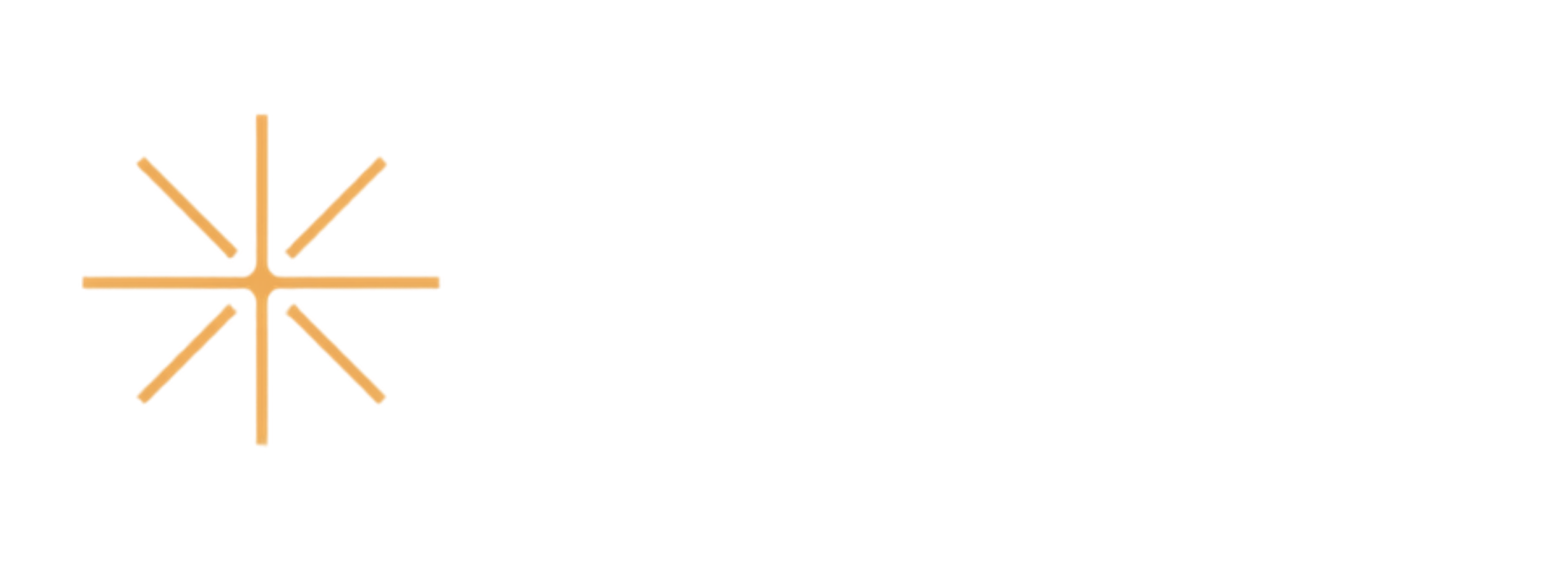 DesWise