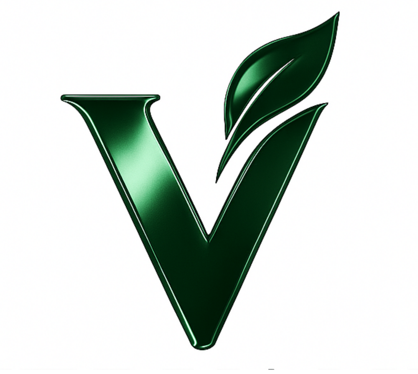 Rahman Capital Partners