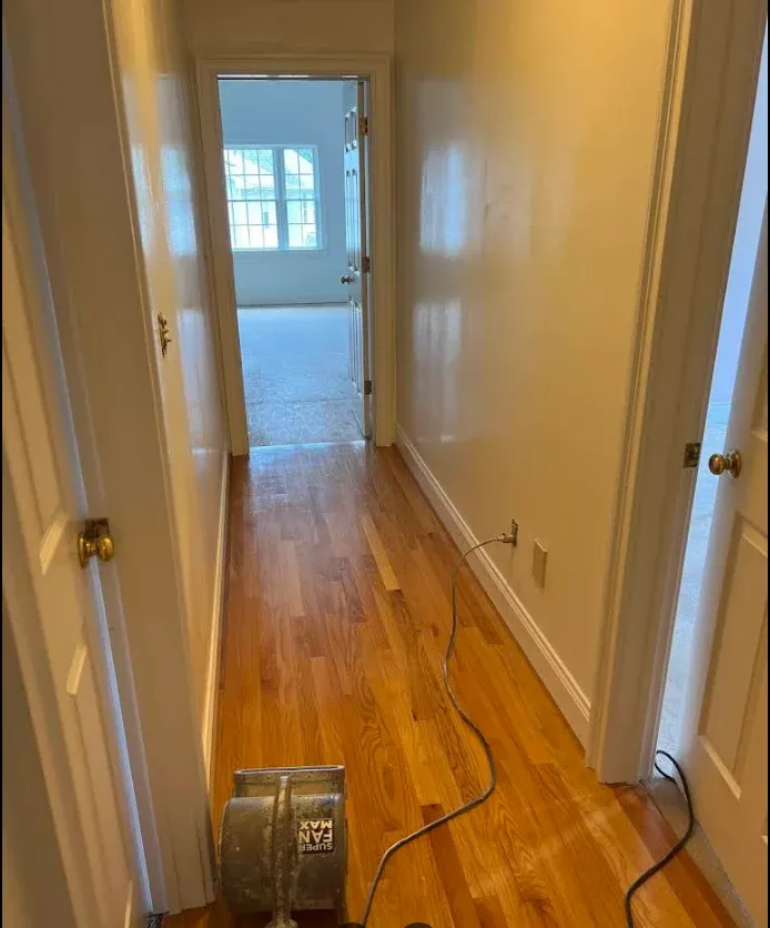 Hallway trim and doors, finished white