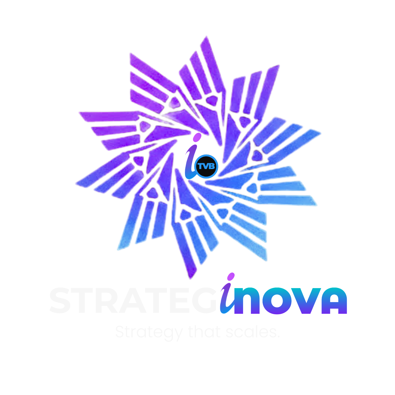 STRATEGINOVA