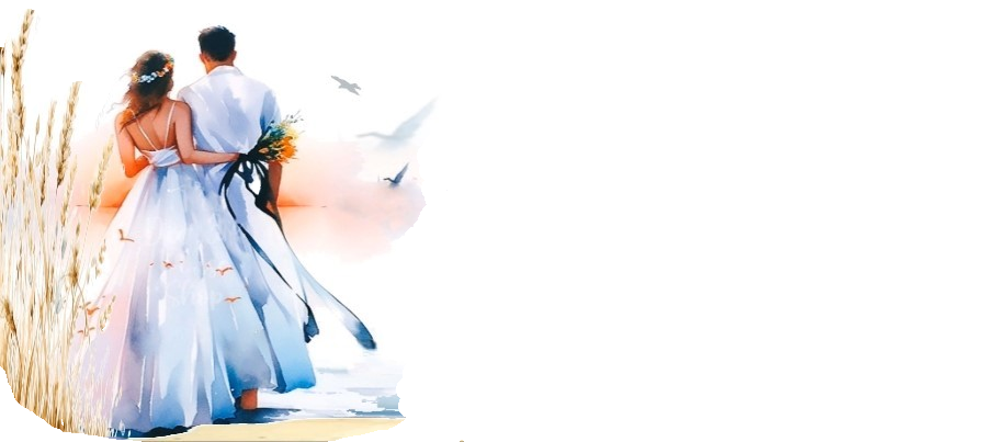 SAND AND SURF WEDDINGS LLC