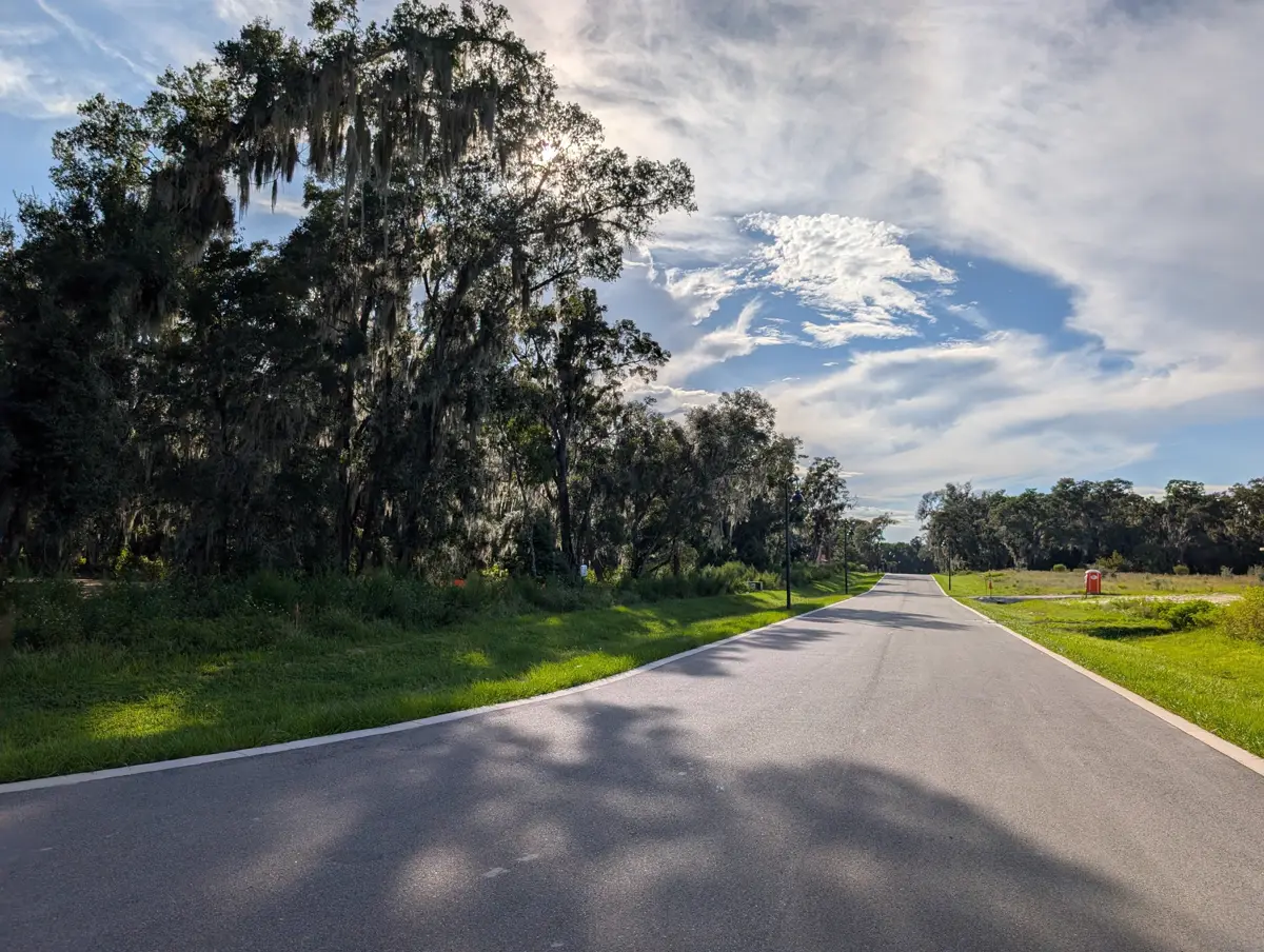 The new loop road in Heebner Acres, DeLand FL, lined with moss-draped oak trees