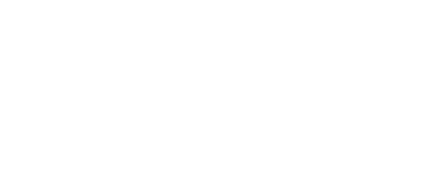 Lutz Screen Enclosures Logo