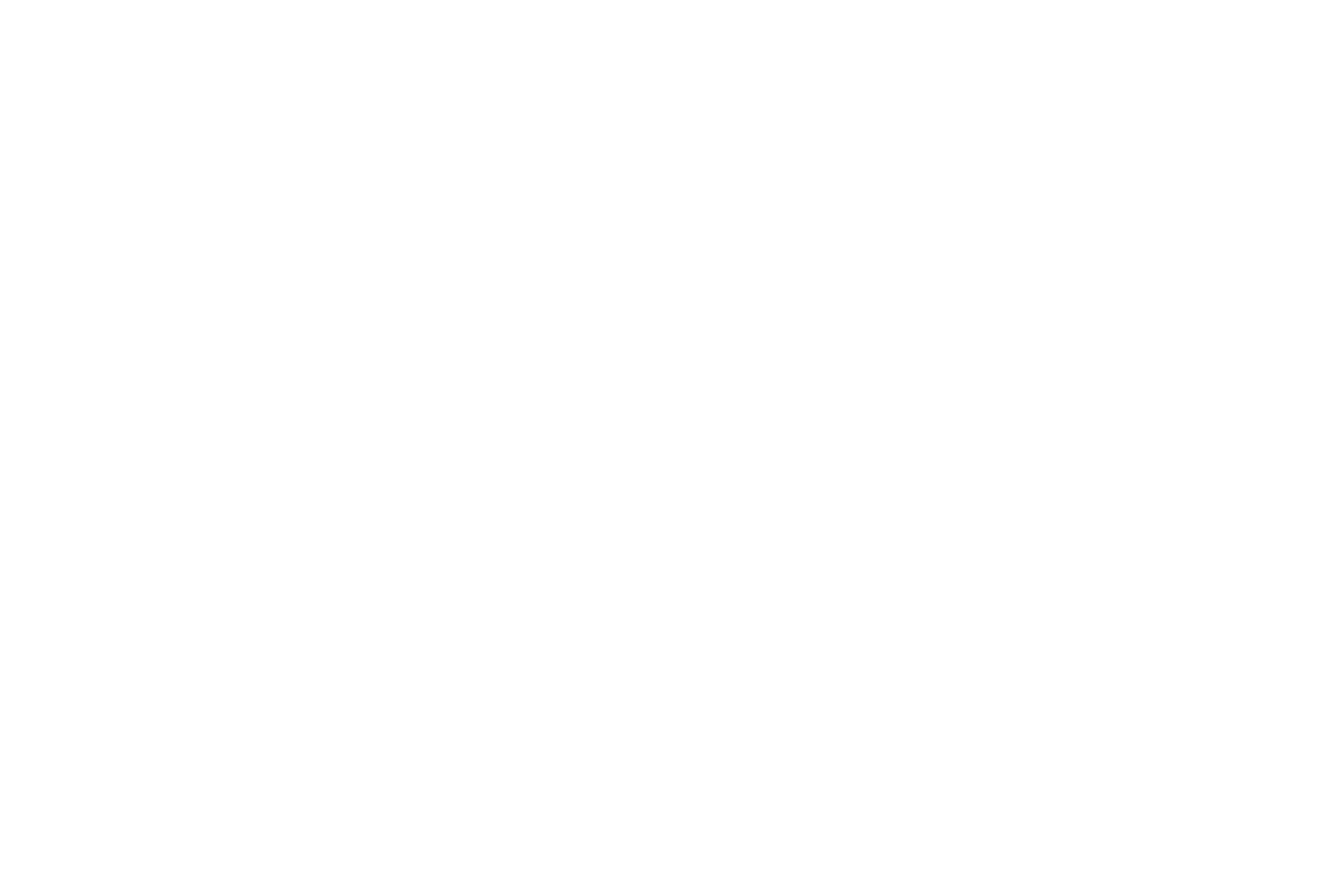 Leslie Lee Realty Team Logo