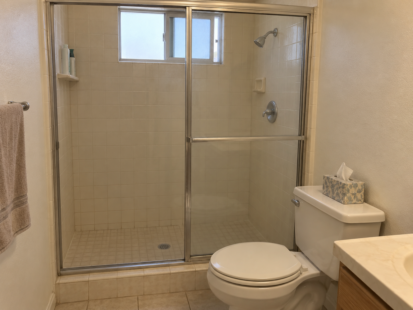 Tod and Fadia bathroom before remodel