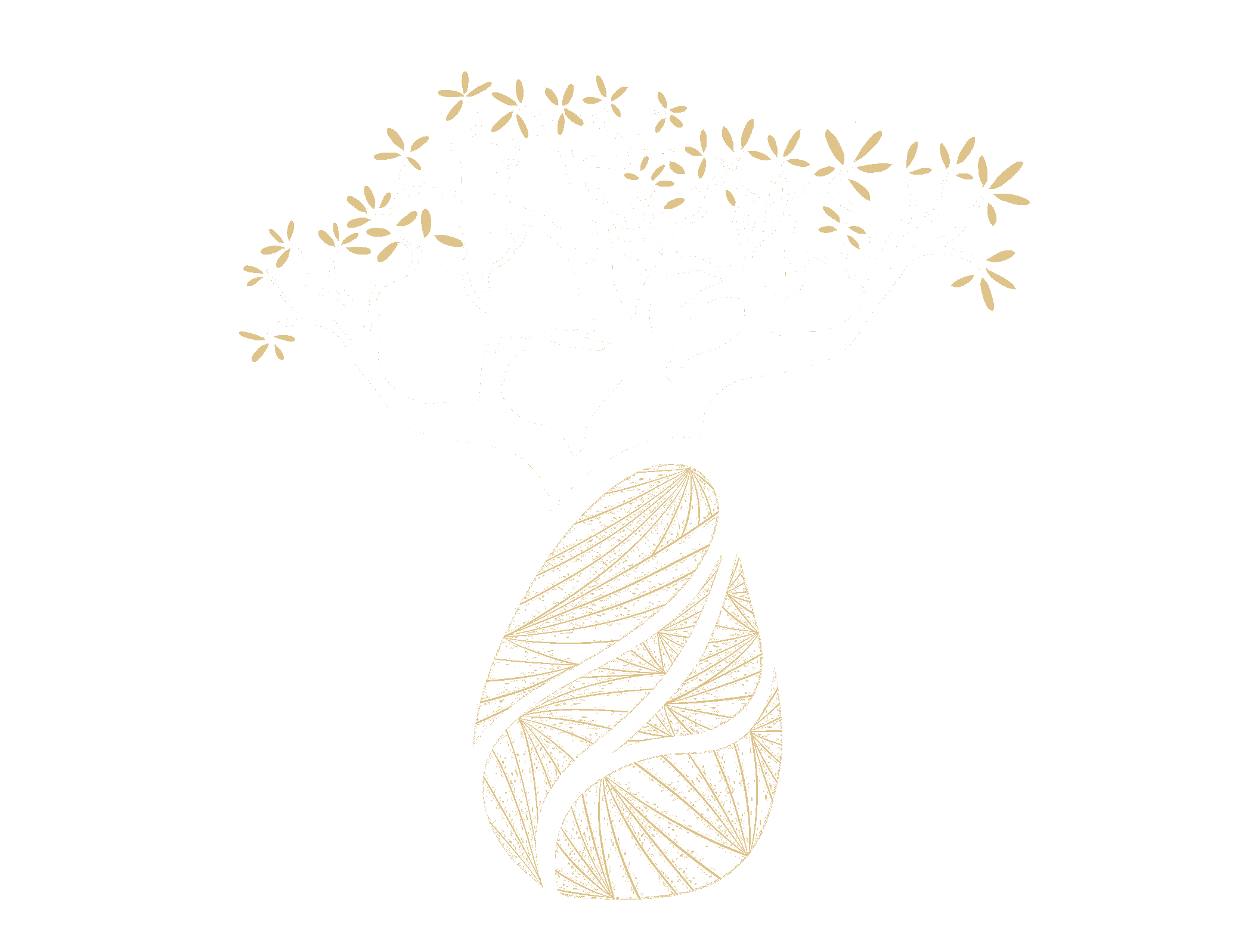 Le Cercle des Baobabs