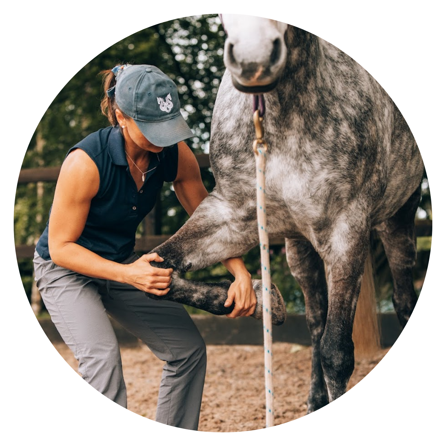 Nika Vorster treating a horse