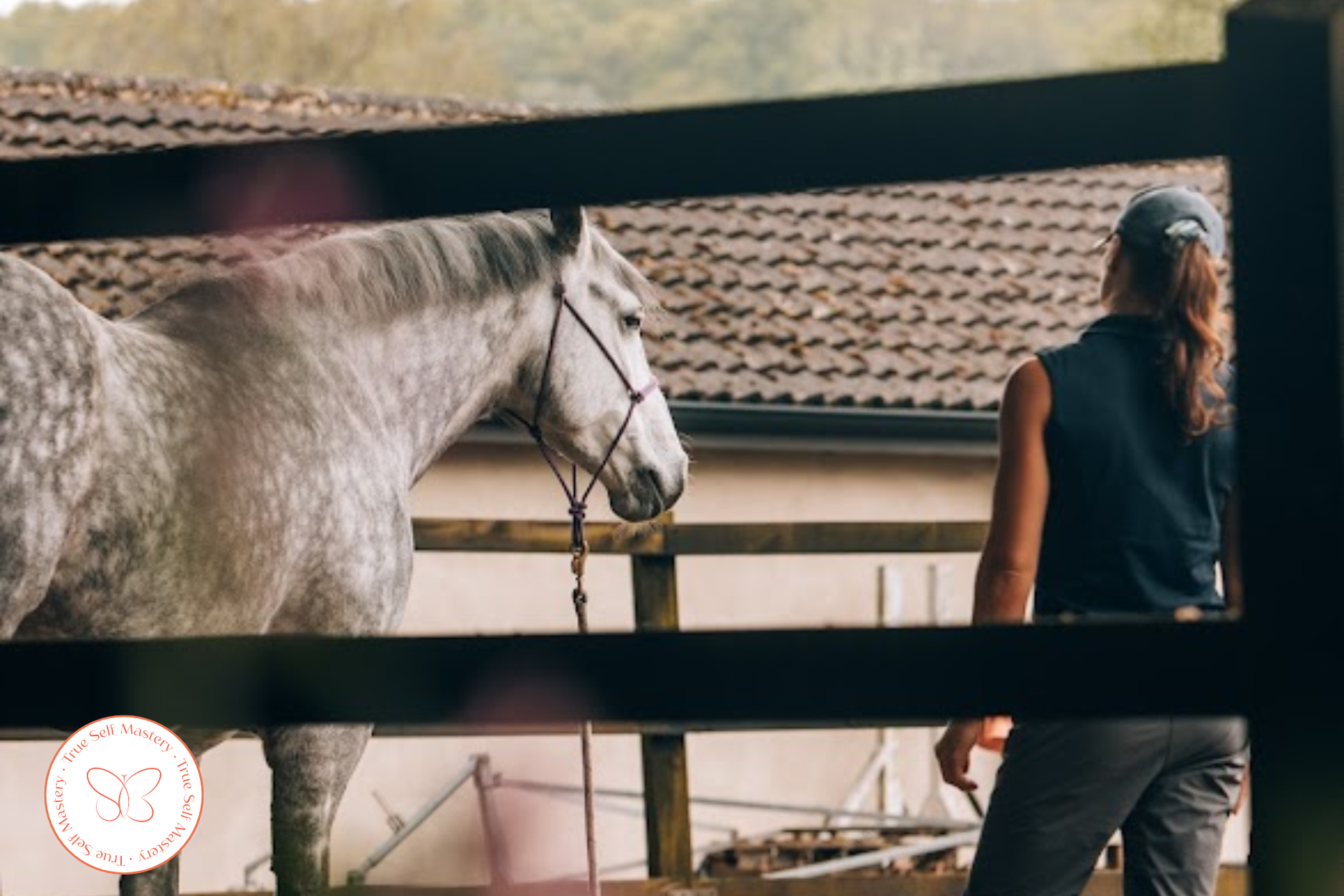 Nika Vorster assessing a horse