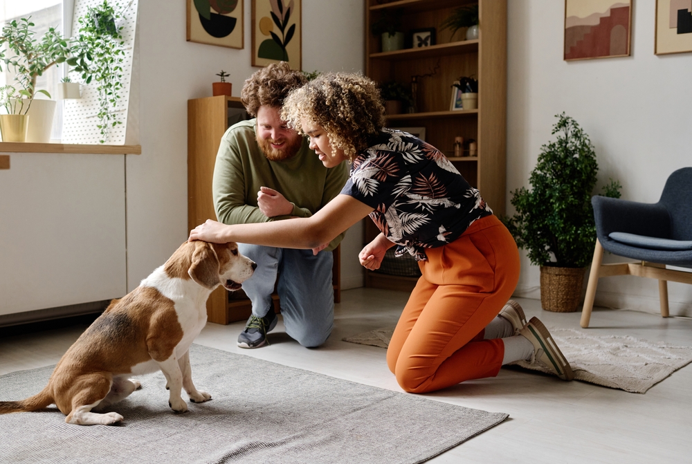 black female dog trainer with beagle with white male owner