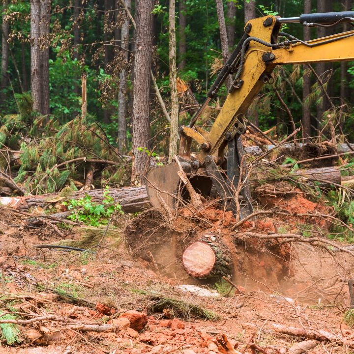 Debris removal and cleanup crew clearing land in Southwest Florida