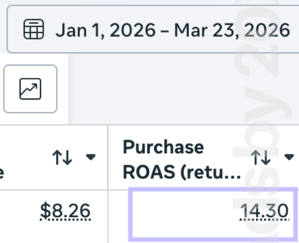 Meta Ads 2026 result 1