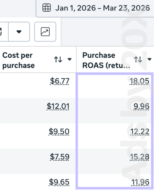Meta Ads 2026 result 10
