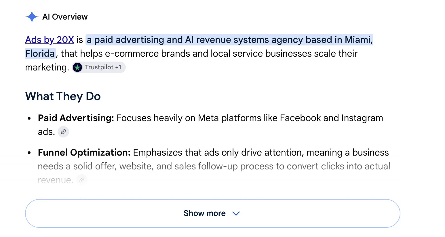 Google AI Overview describing Ads by 20X as a Miami paid advertising and AI revenue systems agency
