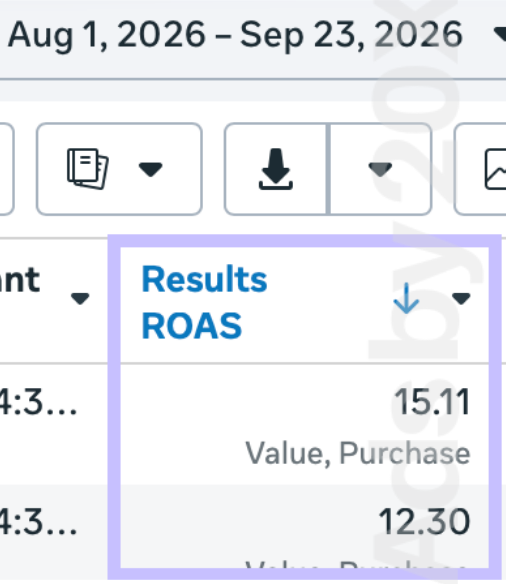 Meta Ads conversion campaign performance from Ads by 20X