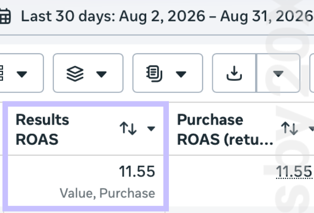 Meta Ads conversion campaign performance from Ads by 20X