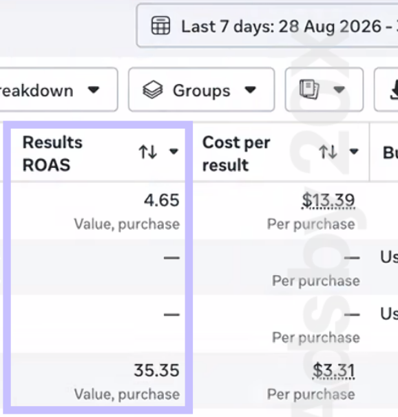 Meta Ads conversion campaign performance from Ads by 20X