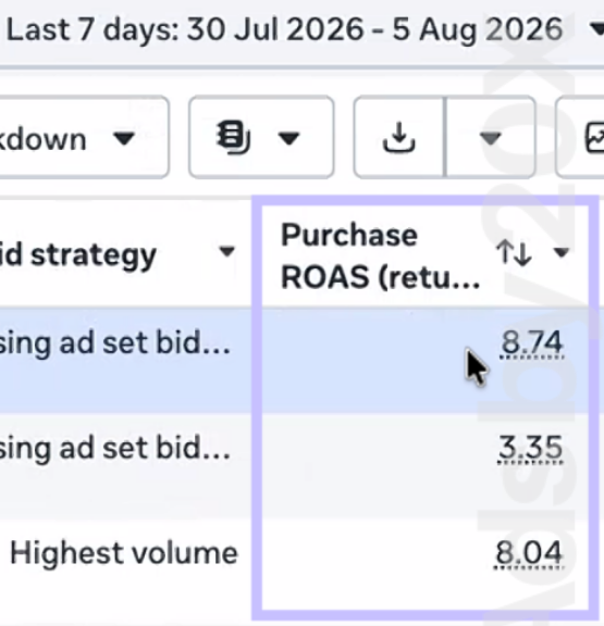 Meta Ads conversion campaign performance from Ads by 20X 