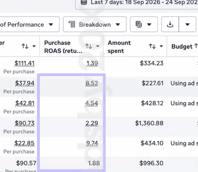 Meta Ads conversion campaign performance from Ads by 20X