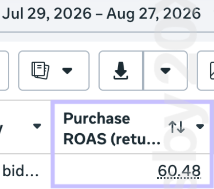 Meta Ads conversion campaign performance from Ads by 20X