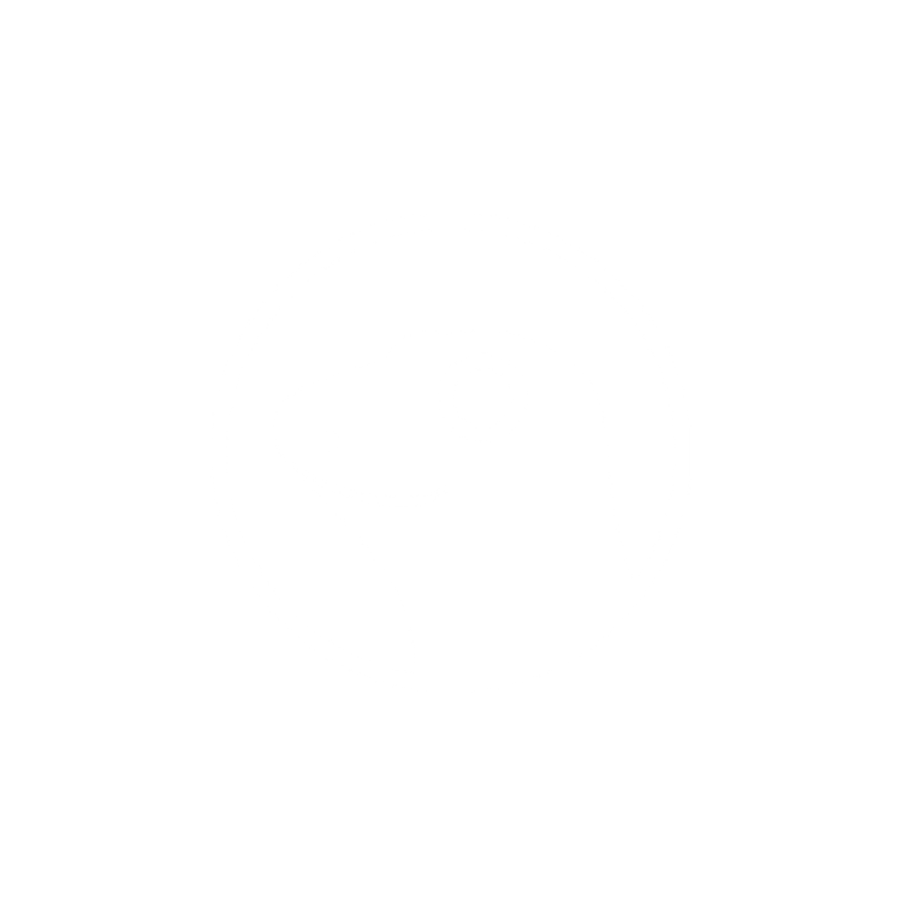 View $FUZZY on First Ledger