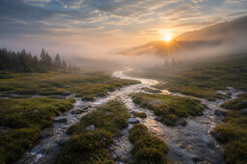 A peaceful forest clearing or open valley where several small streams or rivulets quietly converge into one gentle river. A peaceful forest clearing or open valley where several small streams or rivulets quietly converge into one gentle river.