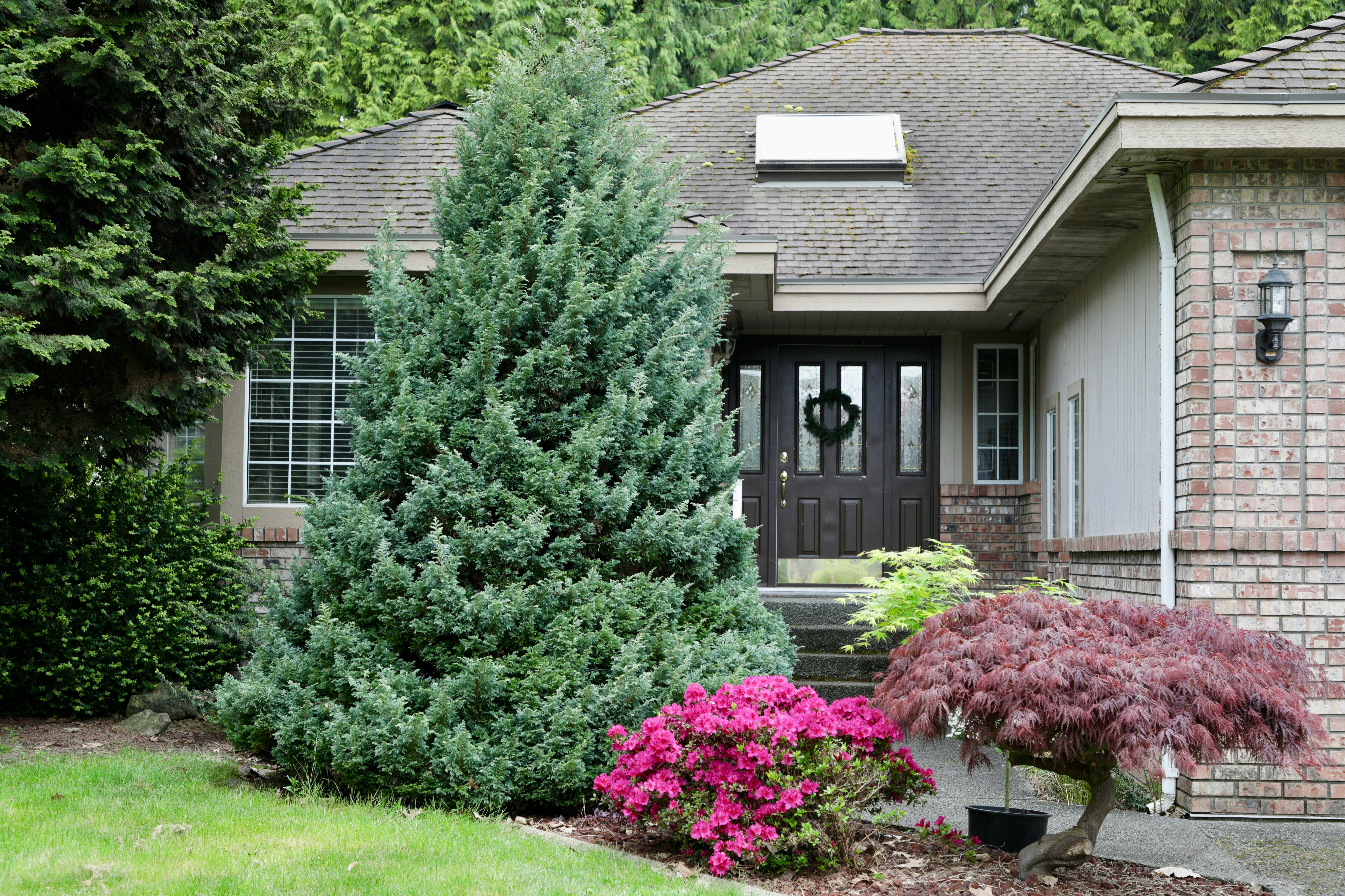 Beautiful single-family home with mature landscaping, colorful garden beds, and inviting curb appeal in a quiet residential neighborhood.
