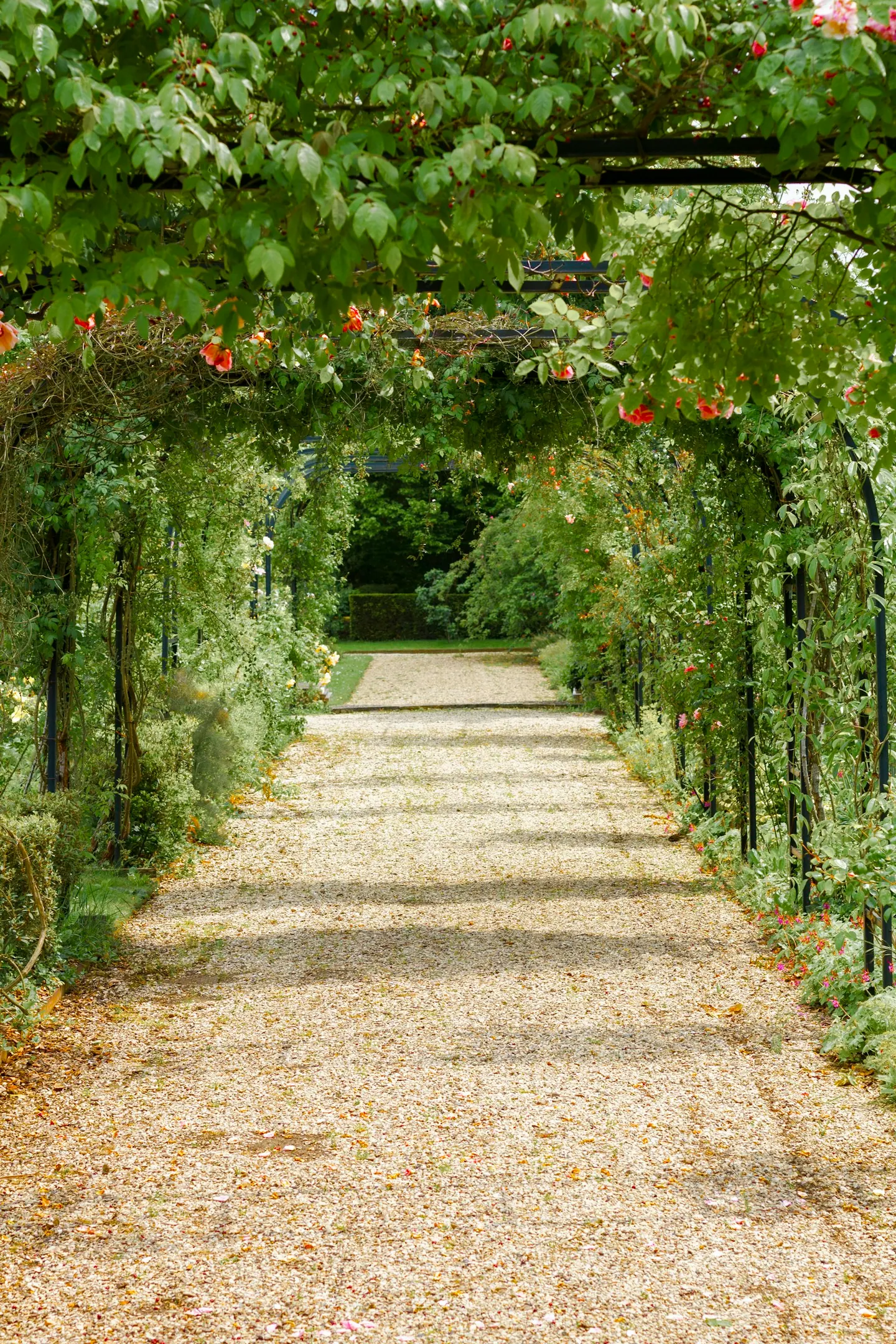 Illustrative garden photography inside a sample website layout