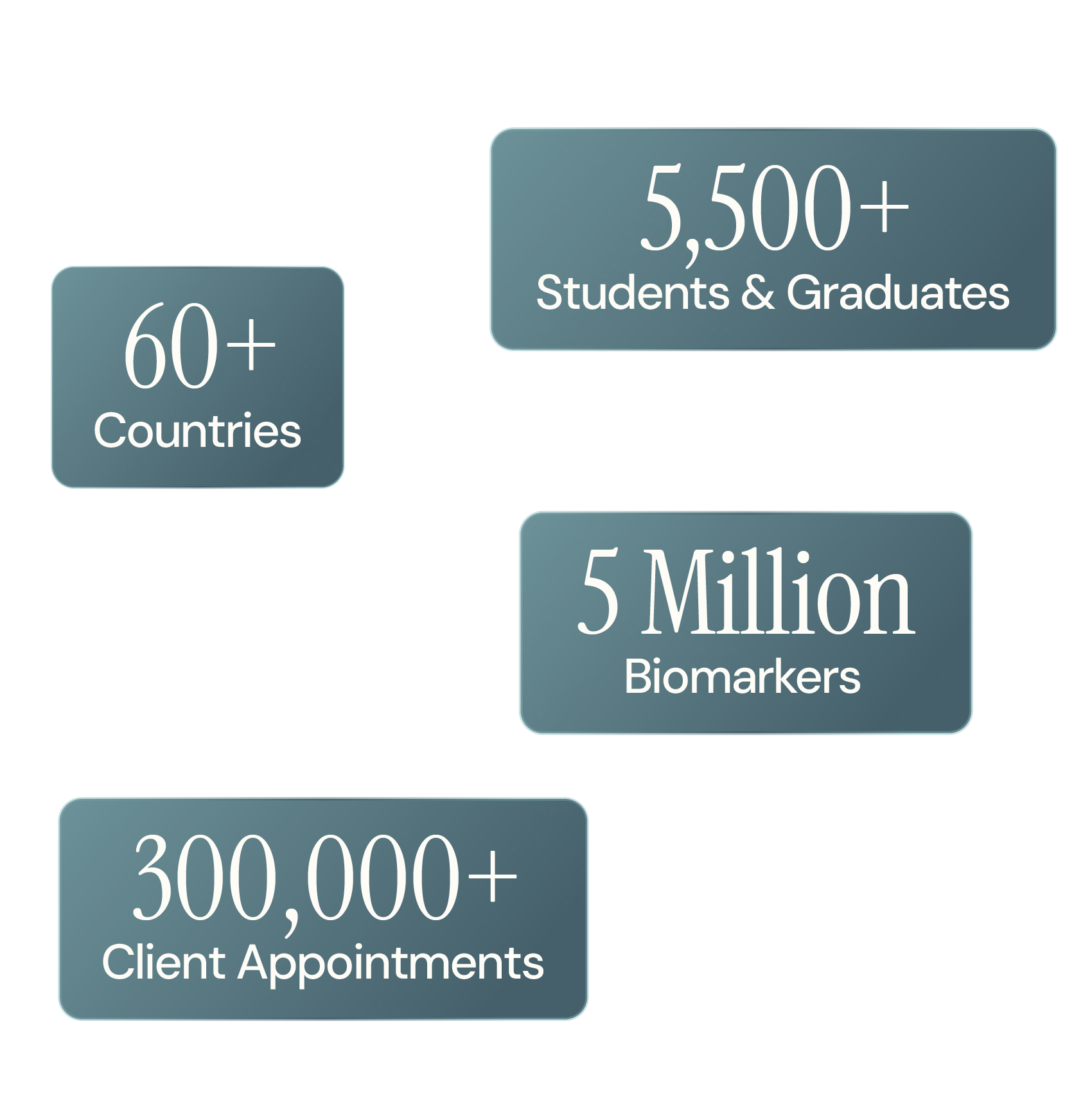 Integrative Health Practitioner Institute Stats