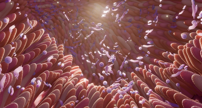Gut Microbiome