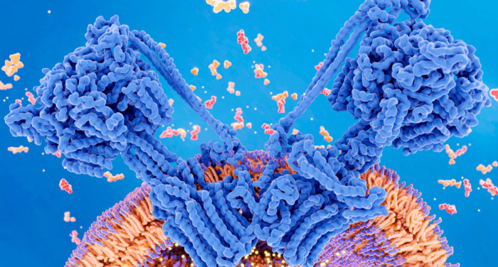 Benefits of Magnesium ATP Production in the Mitochondria