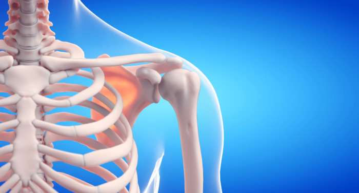 Magnesium Enhances Bone Strength