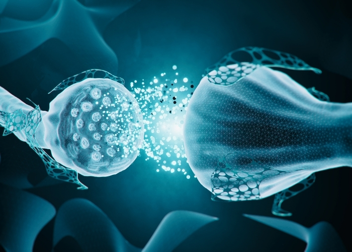 Neurotransmitter Sending Chemical Messages