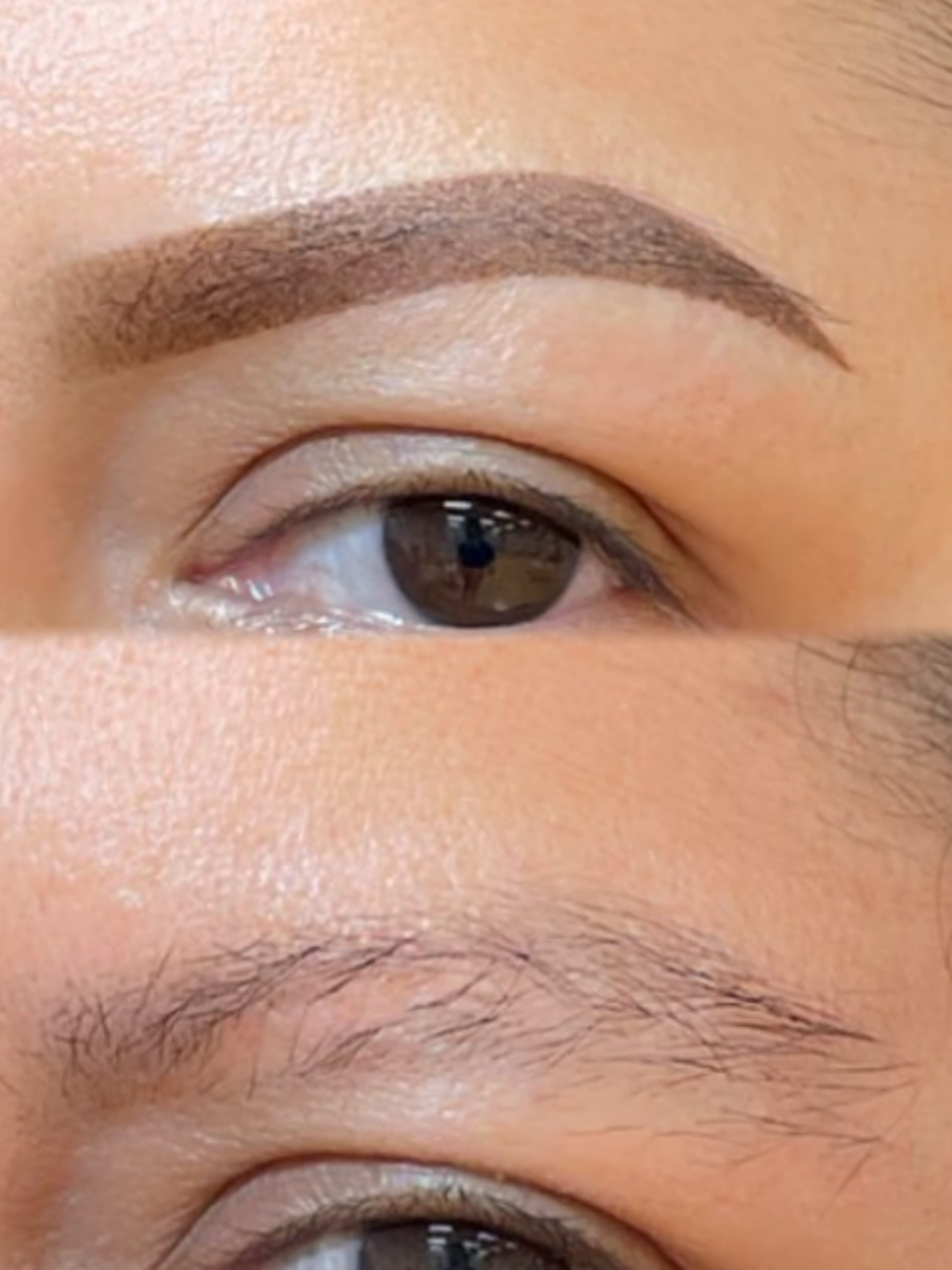 Custom Ombré Brow Detail