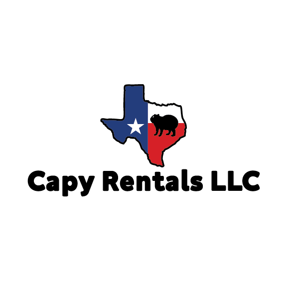 20ft-car-hauler-booking